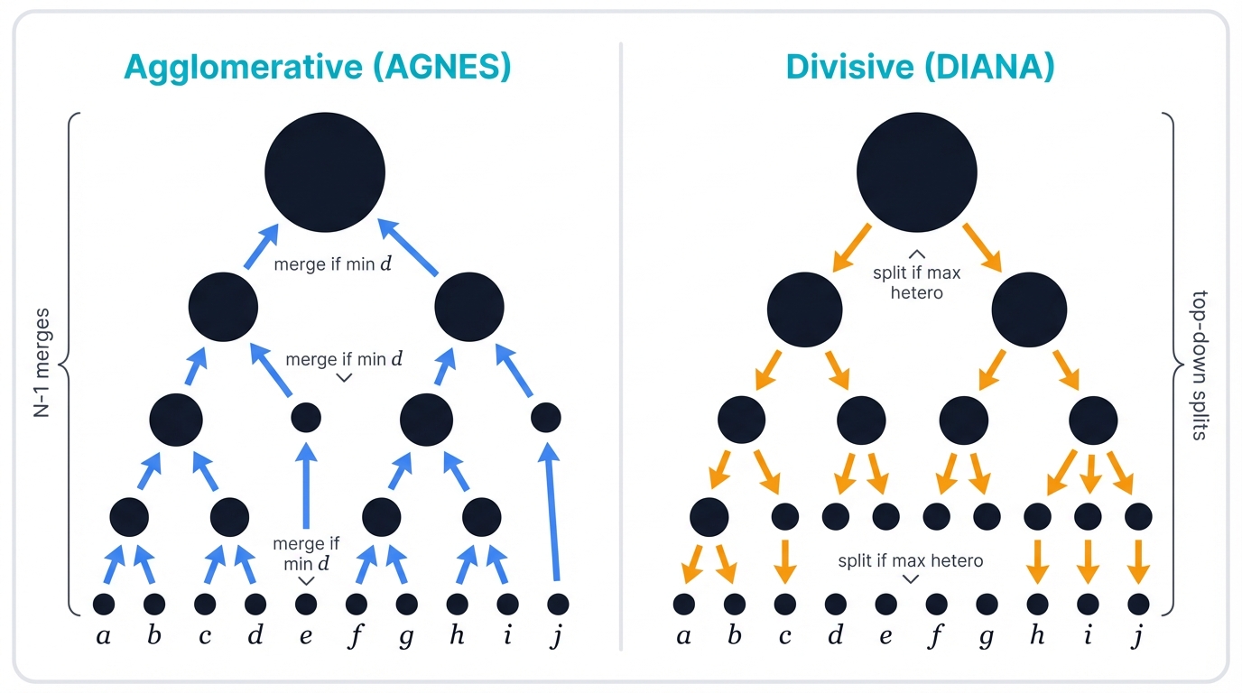 Agglomerative vs Divisive Flow