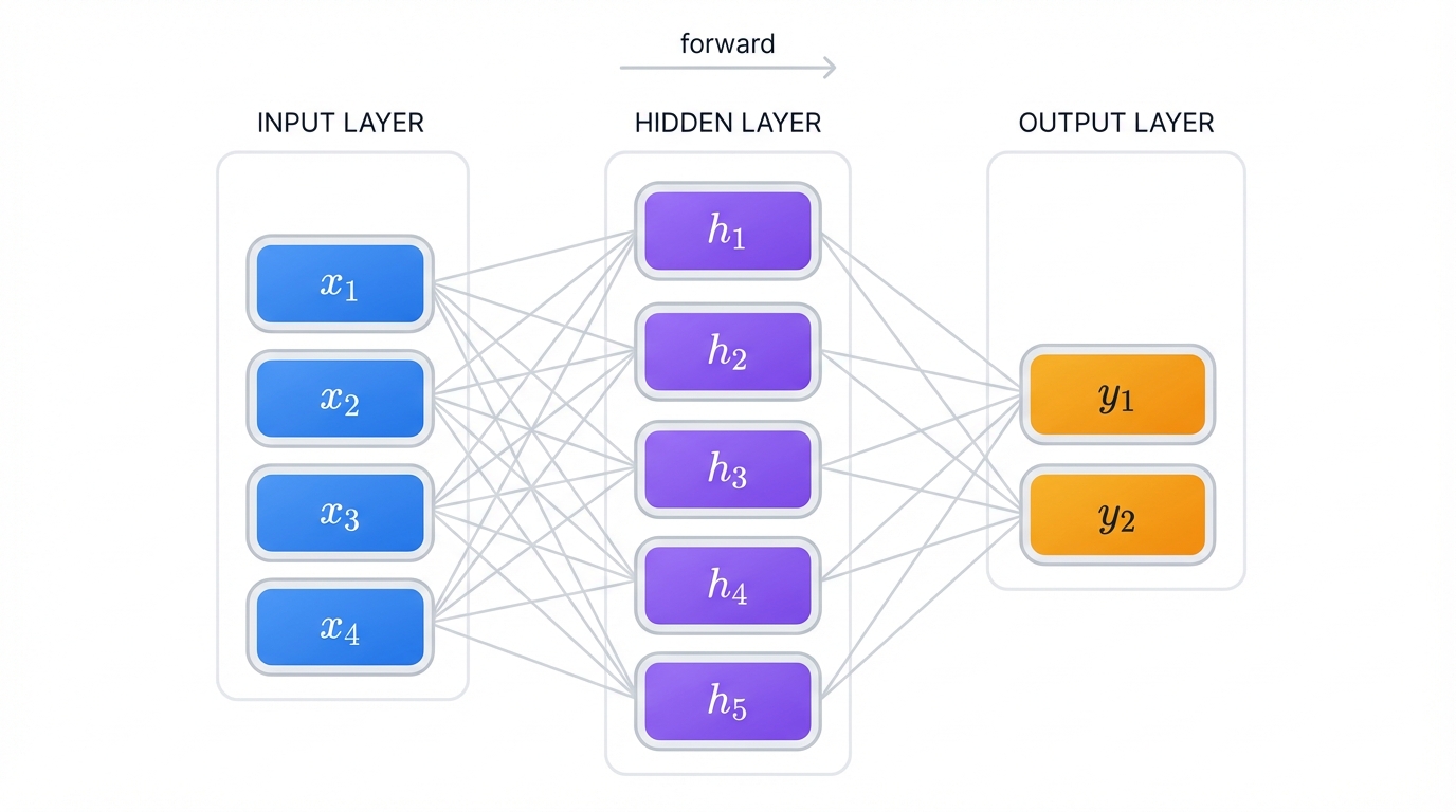 Layered Feedforward Network